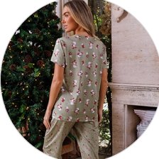 3591 nl verde descritivo 2