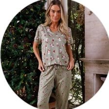 3591 nl verde descritivo 3