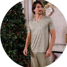 3590 nl verde descritivo 1