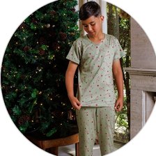 4384 85 nl verde descritivo 2